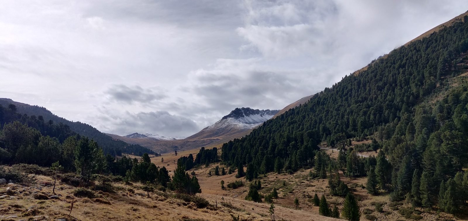Bergpanorama im Sommer